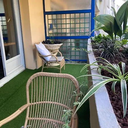 Banane Avec Sa Terrasse